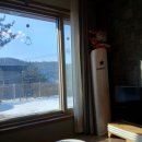 스테이 도트 | 반려견과 함께한 연천펜션, 더스테이&amp;도트 여행 후기