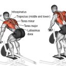 컴포트 짐 이미지