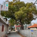 내각2리 이미지