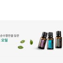 한국아로마교육원 이미지
