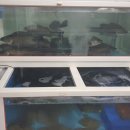 해동수산 이미지