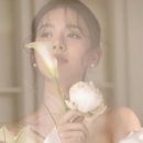 디하우스 이미지