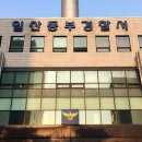 정부 고위공무원 음주운전 적발 차 빼달라 해서 기사 이미지