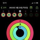 헬린이카페
