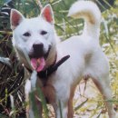 최낙범농장 이미지