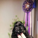 비비드 힐 이미지