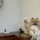 진주수진정원 이미지