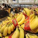 바나나공인중개사사무소 이미지