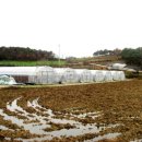 모정농장 이미지