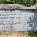 청라푸른담쟁이 이미지