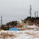 미린