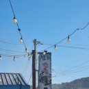 반동 | 창원 마산 원조반동굴구이 후기