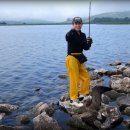 갈매기초장 이미지