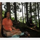 편백나무아래 이미지