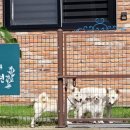 백암동물병원 이미지