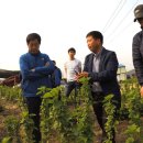 구미농장 이미지