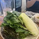 본토박이 이미지