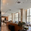 코트야드 메리어트 서울 보타닉파크 | 코트야드 메리어트 서울 보타닉파크 조식 숙제 후기, 할인 외 결제금액 포인트 적립 여부