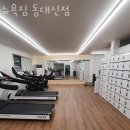 뉴욕피티 이미지