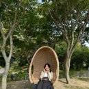 COZY 멍 이미지