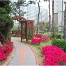 수지드림공인중개사사무소 이미지