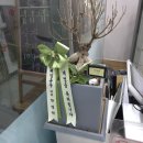 우리한식 이미지