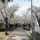 시청별관앞 꽃보라동산 이미지