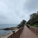 송정 오셔너스 네이버블로그