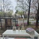 245 | 감성 촬영 제대로 하고 온 날, 일산 마두 245 스튜디오 후기💛