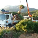 수림농장 이미지