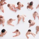 [뉴질랜드 타우랑가 뉴스] 2014년 인기있었던 아기 이름들 이미지
