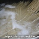 후루룩국수 이미지