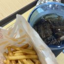 서호목장 | 이르게 떠난 여름 휴가 7월 제주도 3박 4일 여행 (7/2~5)