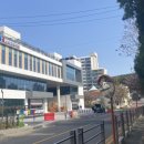 교리도서관 네이버블로그