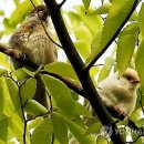 참새공원 연합뉴스
