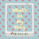 병아리김밥의정부민락코스트코점 | 11월 4주 차 일상 정리 왓츠인마이블로그 블챌