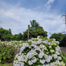 동광리-19 이미지