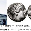 미네르바부엉이