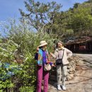 수월산방 이미지