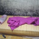 경희환경 이미지