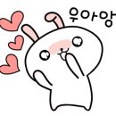 투게더국제결혼 이미지