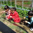 안내초등학교 이미지