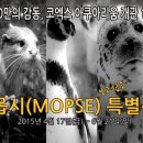 개관15주년 기념 특별전 이미지