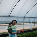 현호농장 이미지