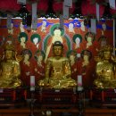 선원사 대웅전 이미지