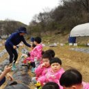 원아농장 이미지