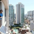 사랑태양광발전소 이미지