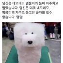 네모네모 이미지