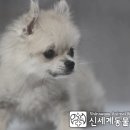 건우동물병원 이미지