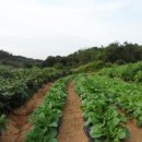 전대1리마을회관 이미지